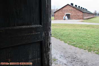 IMG_ (11553)